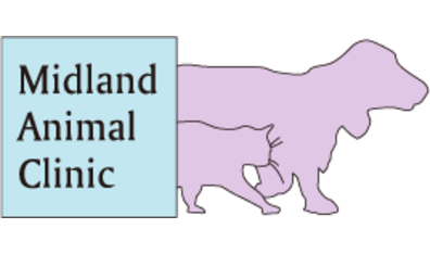 Midland Animal Clinic-HeaderLogo